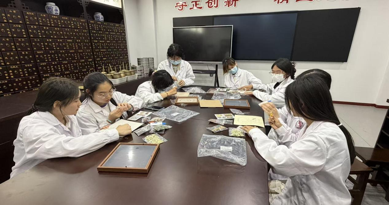 职教赋能传岐黄，本草入画绽芳华——医药健康学院...